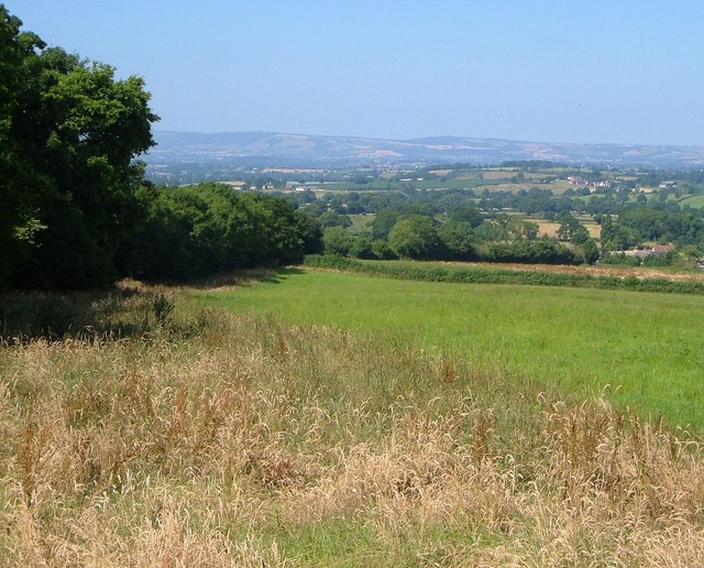 File:Field near Old Lake - geograph.org.uk - 1606331.jpg