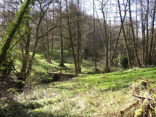 File:Footbridge in woodland garden, Tuesley, Busbridge - geograph.org.uk - 148730.jpg