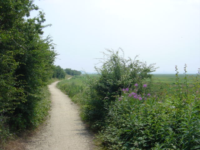 Footpath to Denhall Lane, Ness - geograph.org.uk - 196721