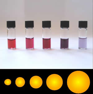 Colloidal gold is a sol or colloidal suspension of nanoparticles of gold in a fluid, usually water. The colloid is usually either an intense red colour or blue/purple .
Due to their optical, electronic, and molecular-recognition properties, gold nanoparticles are the subject of substantial research, with many potential or promised applications in a wide variety of areas, including electron microscopy, electronics, nanotechnology, materials science, and biomedicine.