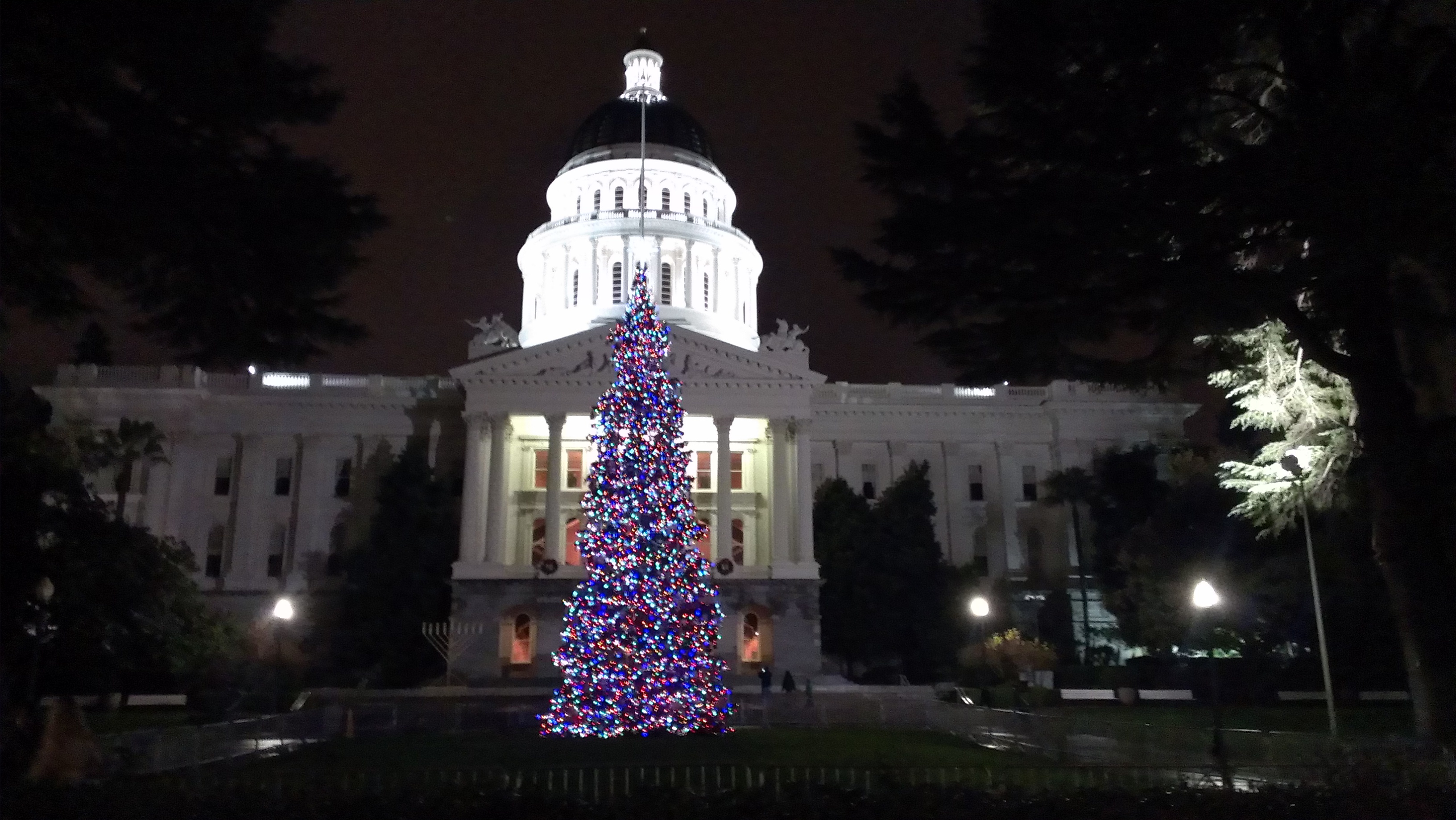 Slordig Pretentieloos extase California Capitol Christmas Tree - Wikipedia