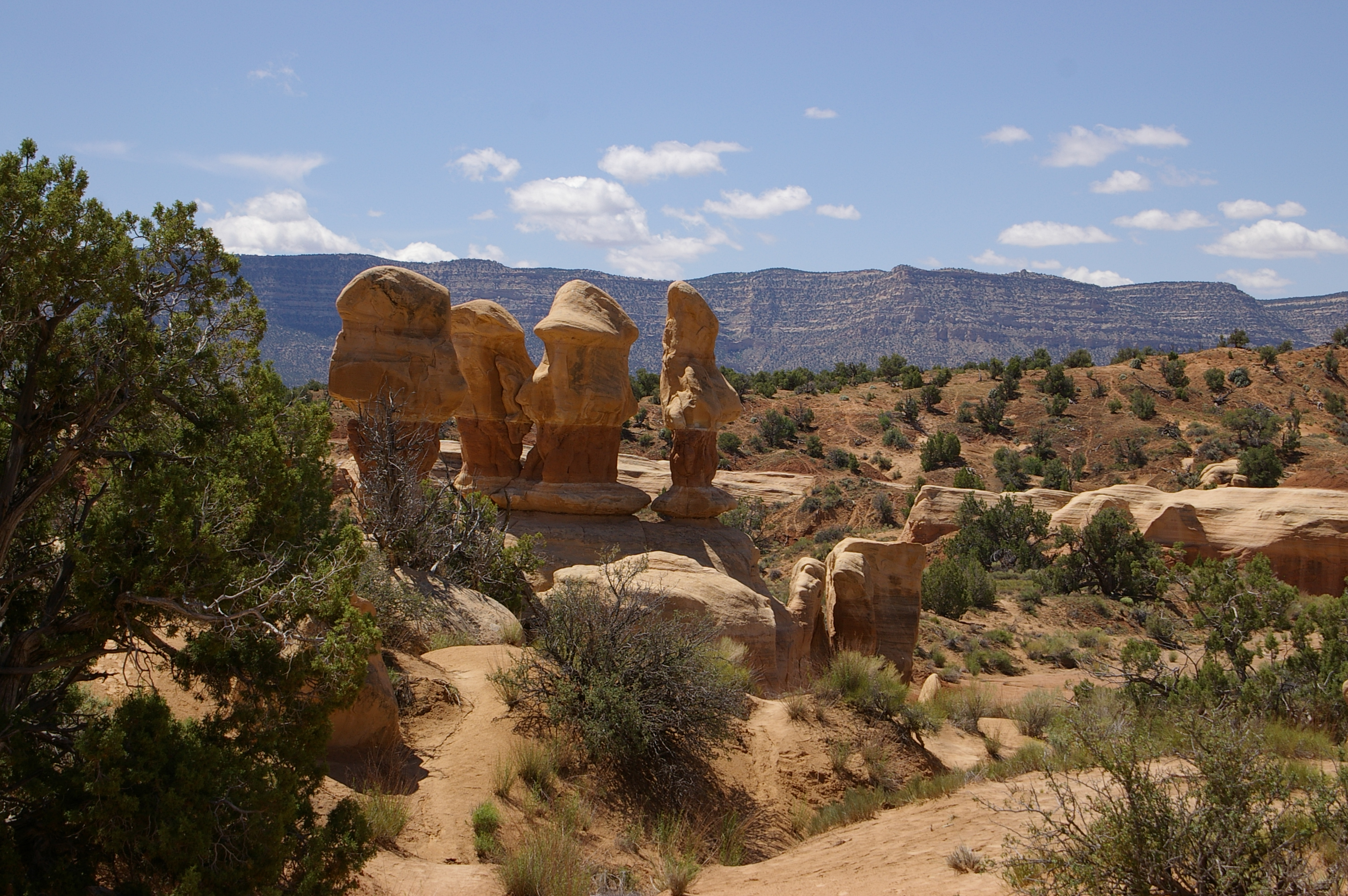 File Hoodoos In Devils Garden Jpg Wikimedia Commons