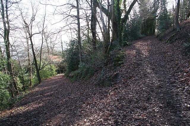 File:Junction of Clare Walk and Alice Betteridge Walk - geograph.org.uk - 672827.jpg