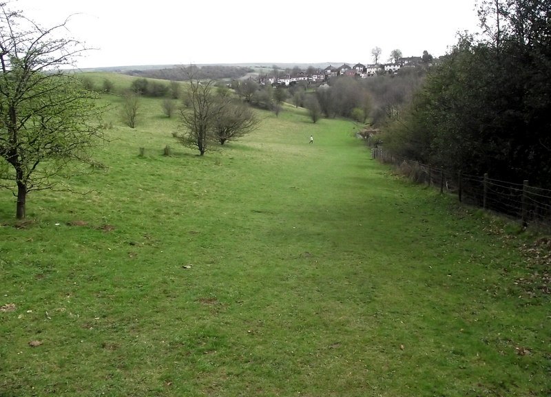 Looking down the pasture - geograph.org.uk - 2347263