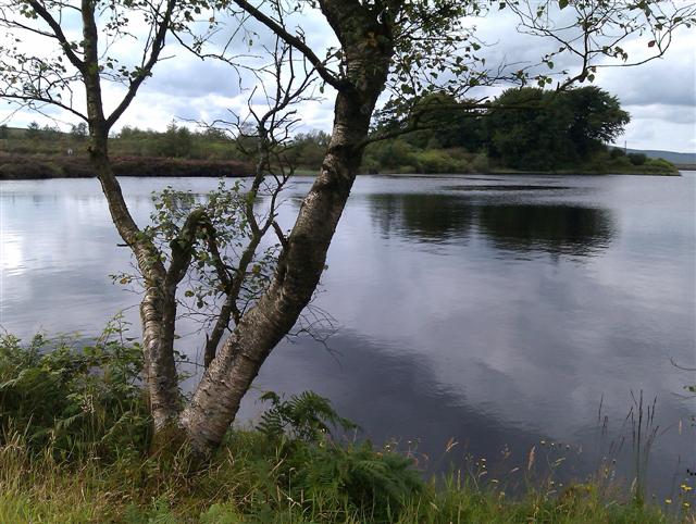 Lough Fea (4) - geograph.org.uk - 3100858