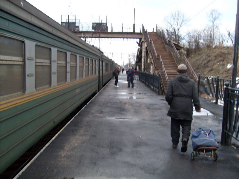 File:Martyshkino station.JPG