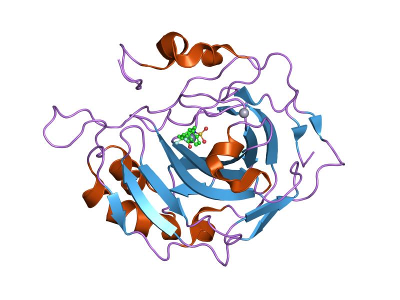 File:PDB 1g52 EBI.jpg