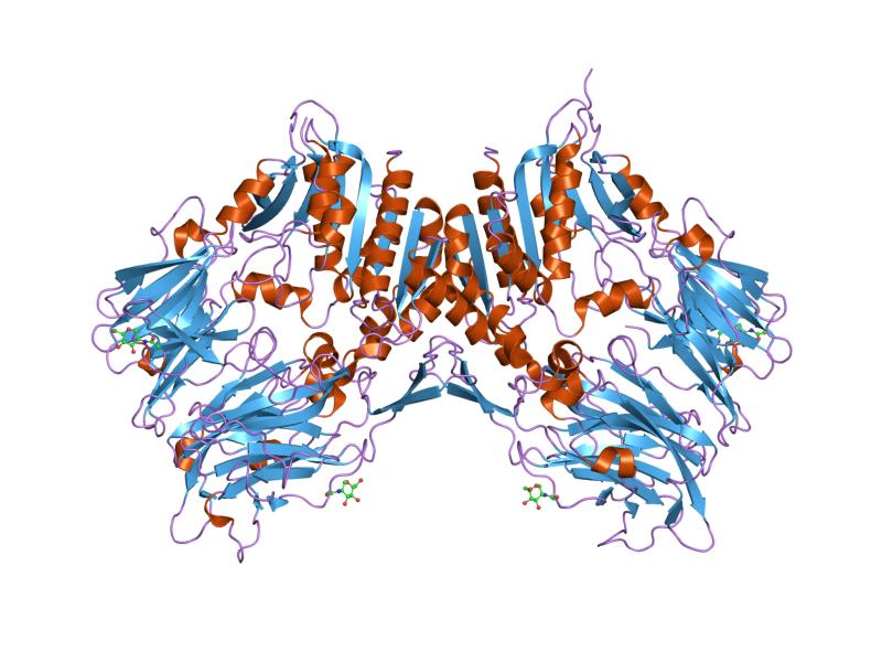 File:PDB 1pfq EBI.jpg