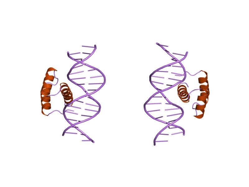 File:PDB 9ant EBI.jpg