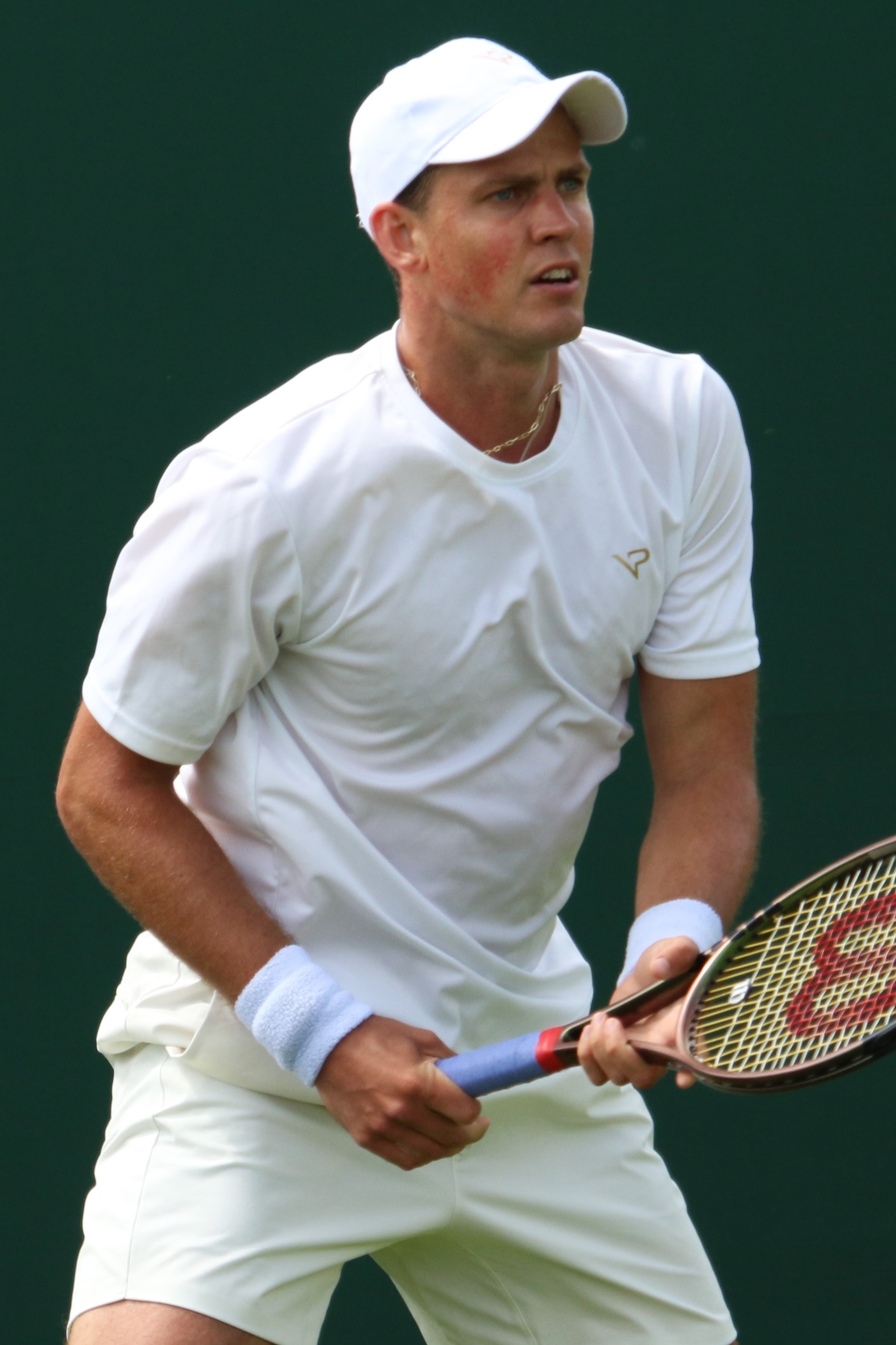 Jack Sock - Wikipedia