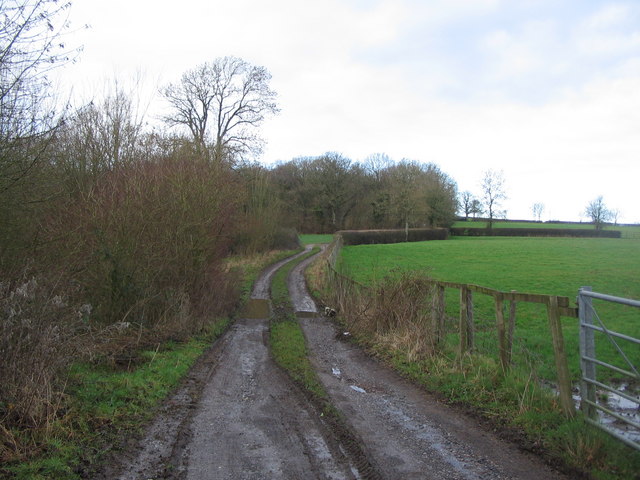 File:Postleburywood.jpg