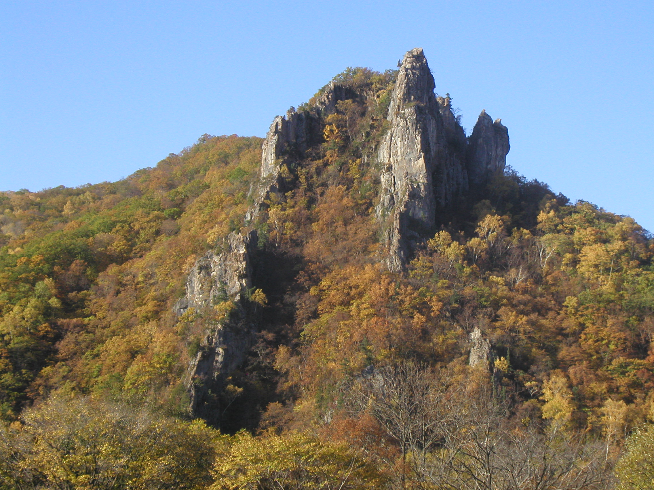 В горах сихотэ алиня