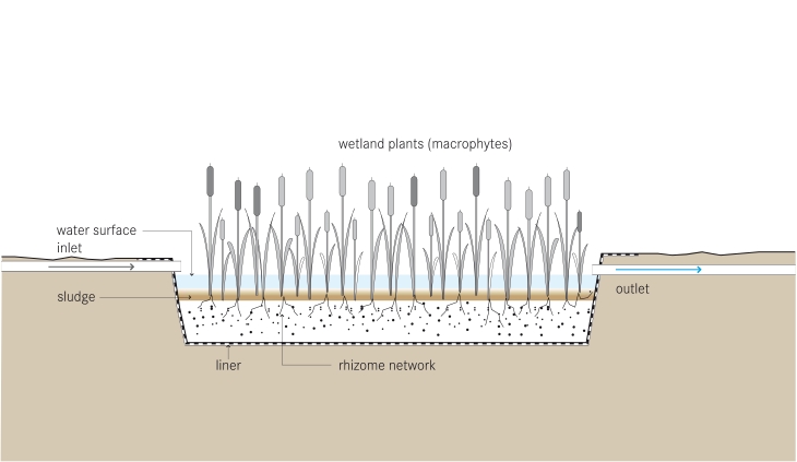 File:Schematic of the Free Water Surface Constructed Wetland.jpg