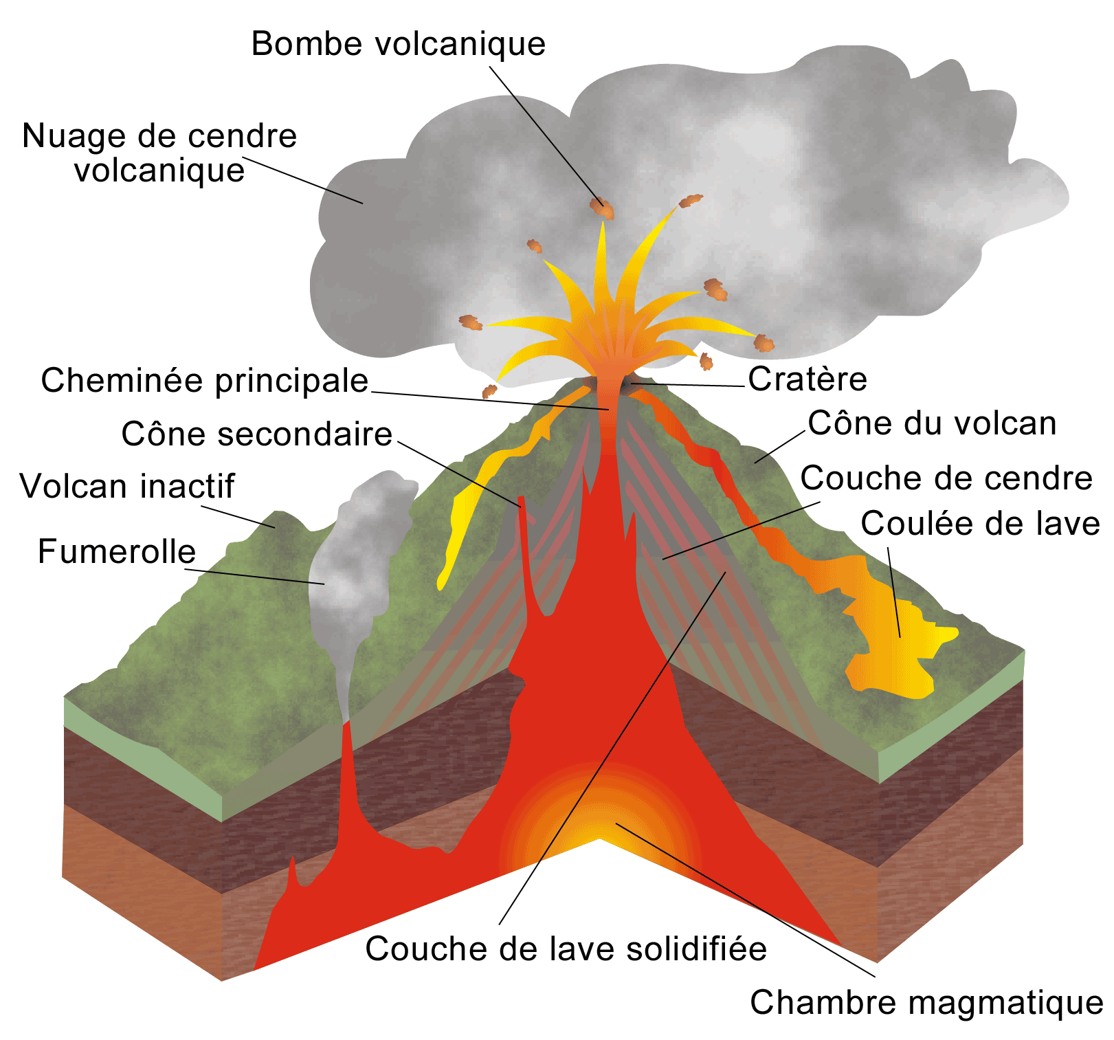 https://upload.wikimedia.org/wikipedia/commons/4/4d/Structure_volcan.png