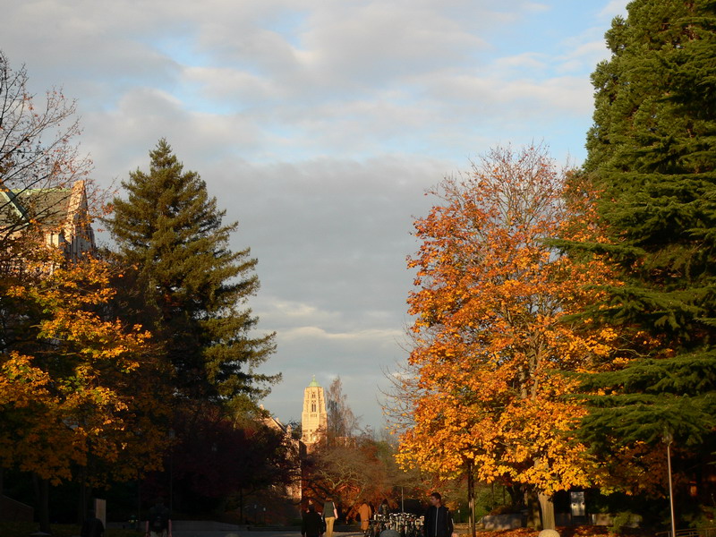 File:The Quad - panoramio.jpg