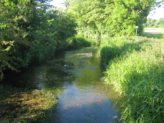 File:The River Darent near Newbarn Farm - geograph.org.uk - 1333227.jpg