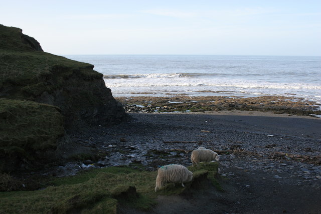 File:The last graze - geograph.org.uk - 612683.jpg