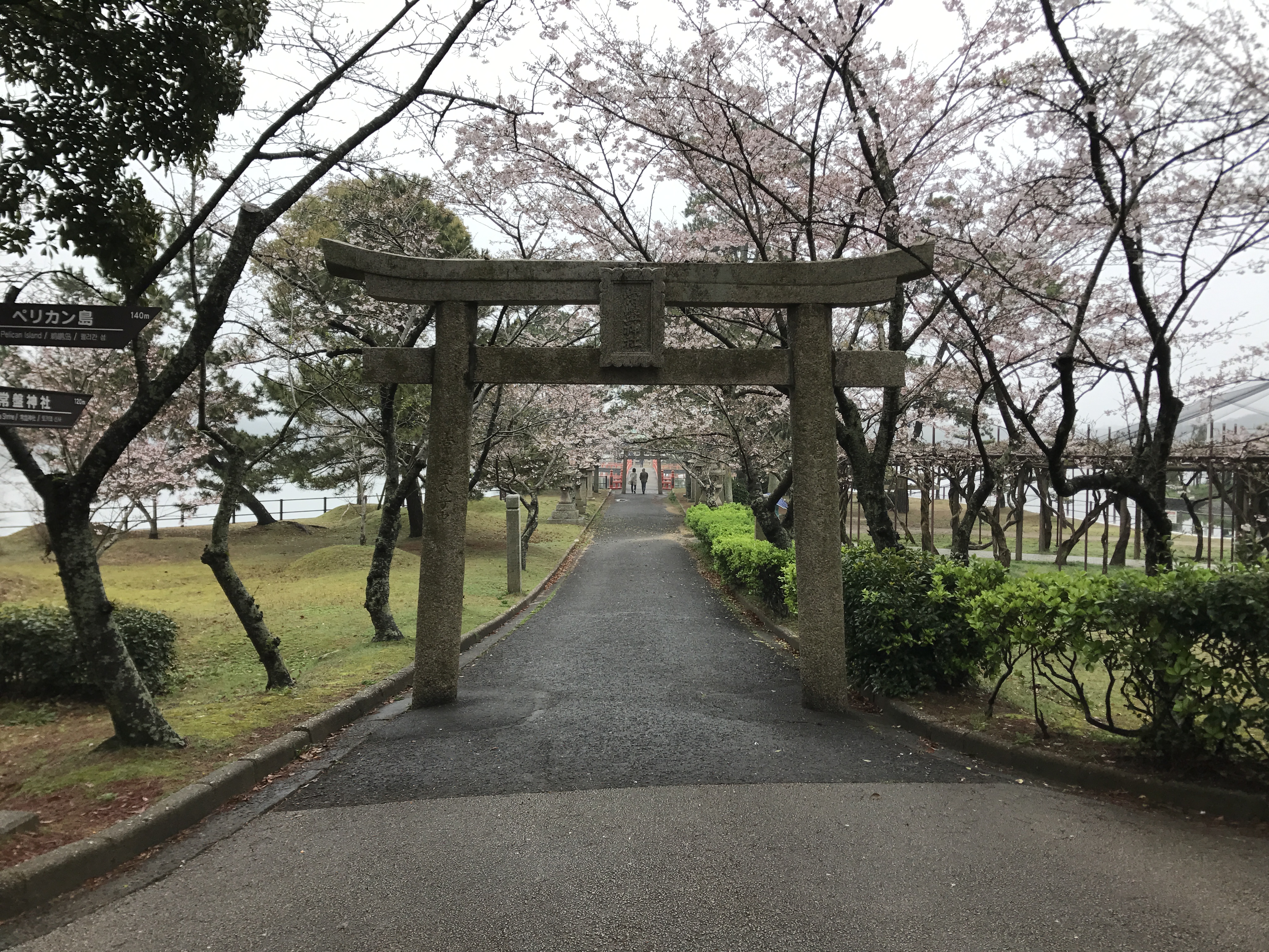 File Torii On Sando Of Tokiwa Shrine In Tokiwa Park Jpg Wikimedia Commons
