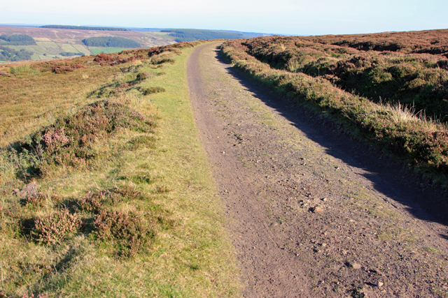 Track of the disused railway line above Rosedale - geograph.org.uk - 1509604