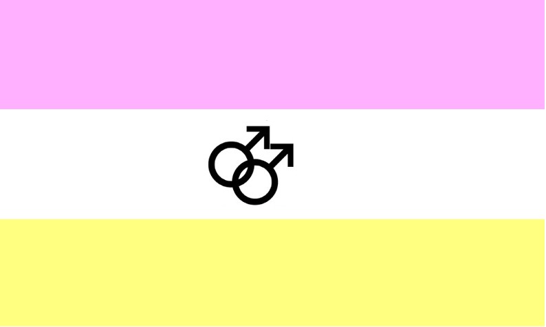 Twinkprideflag.jpg