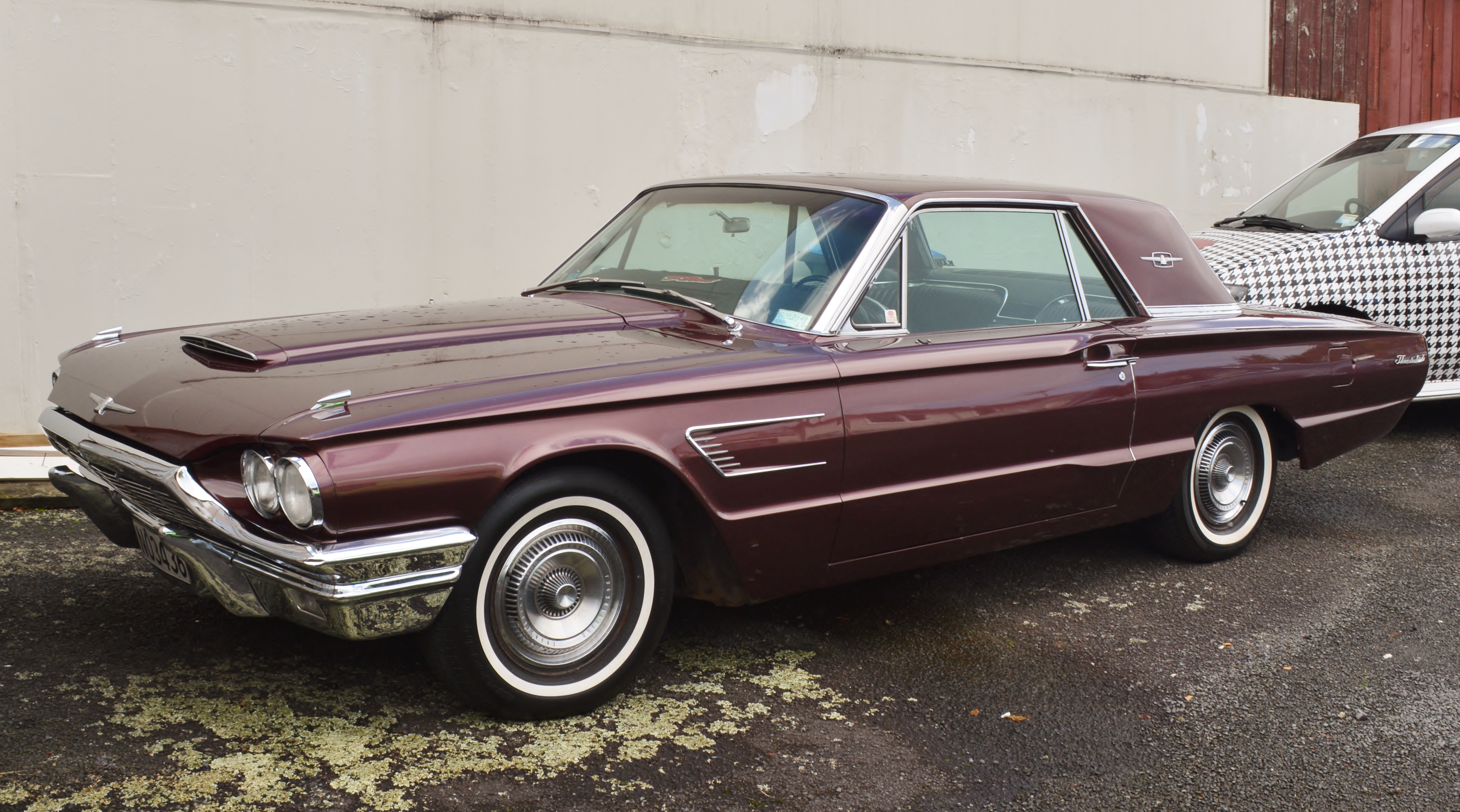 Ford thunderbird new zealand #7