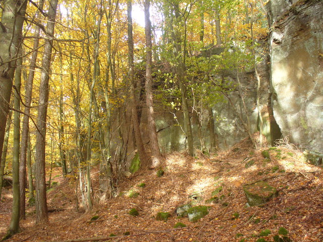 File:Brandbuesch, Ferschweiler Plateau - geo.hlipp.de - 15177.jpg