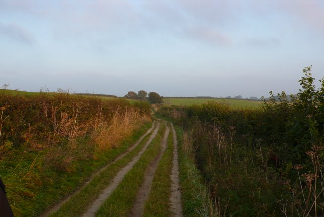 File:Bridle Path on the Ridgeway near Puddletown - geograph.org.uk - 1002428.jpg