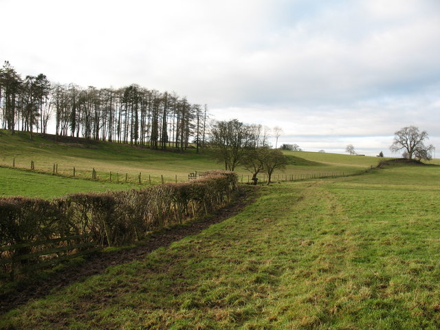 File:Bridleway near Fisher Wood - geograph.org.uk - 643858.jpg