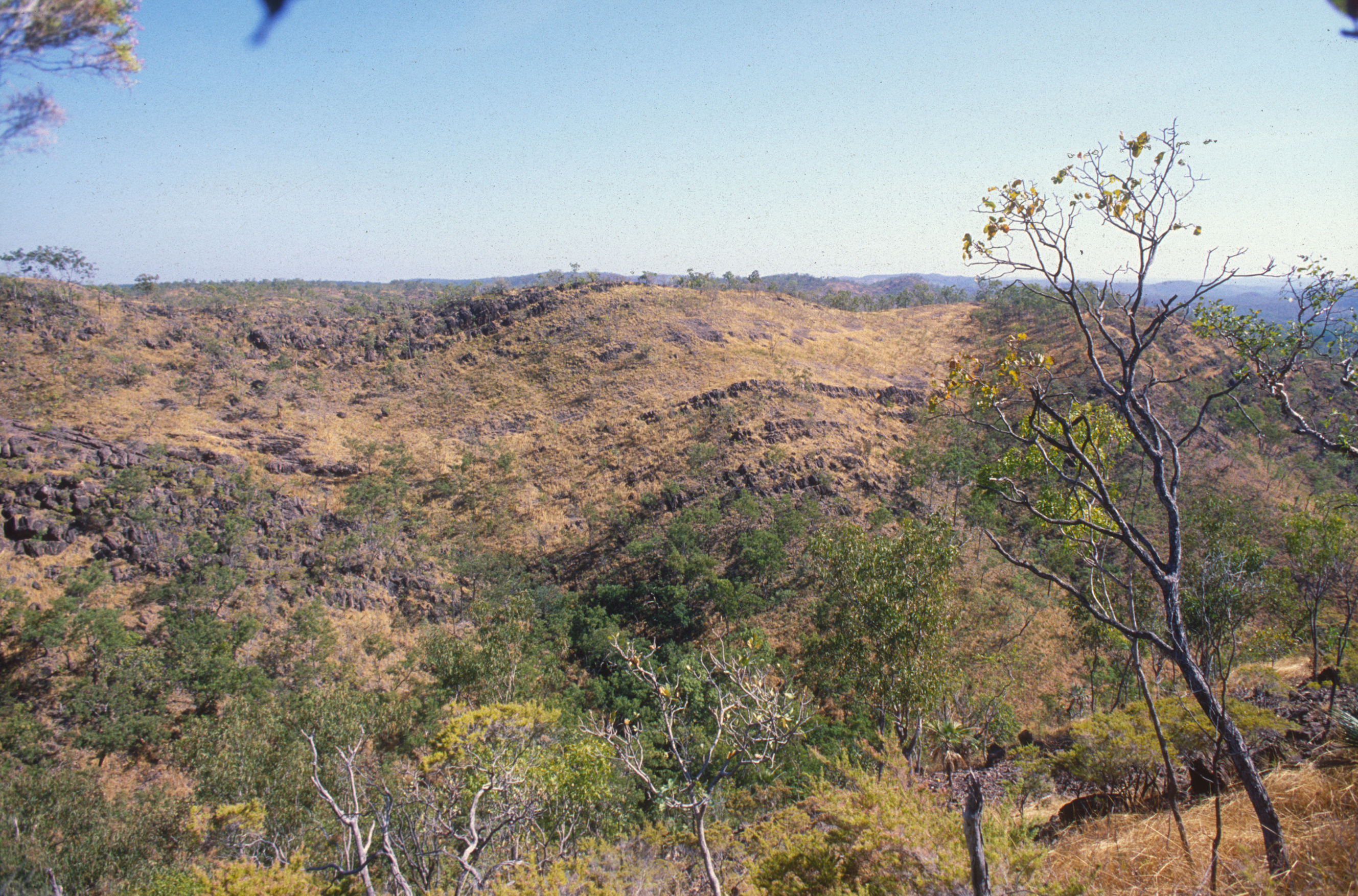 CSIRO ScienceImage 1258 Northern Australia landscape.jpg