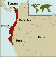 Tumbes–Chocó–Magdalena Biodiversity hotspot region on Pacific coast of South America