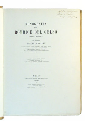 File:Cornalia 3.jpeg