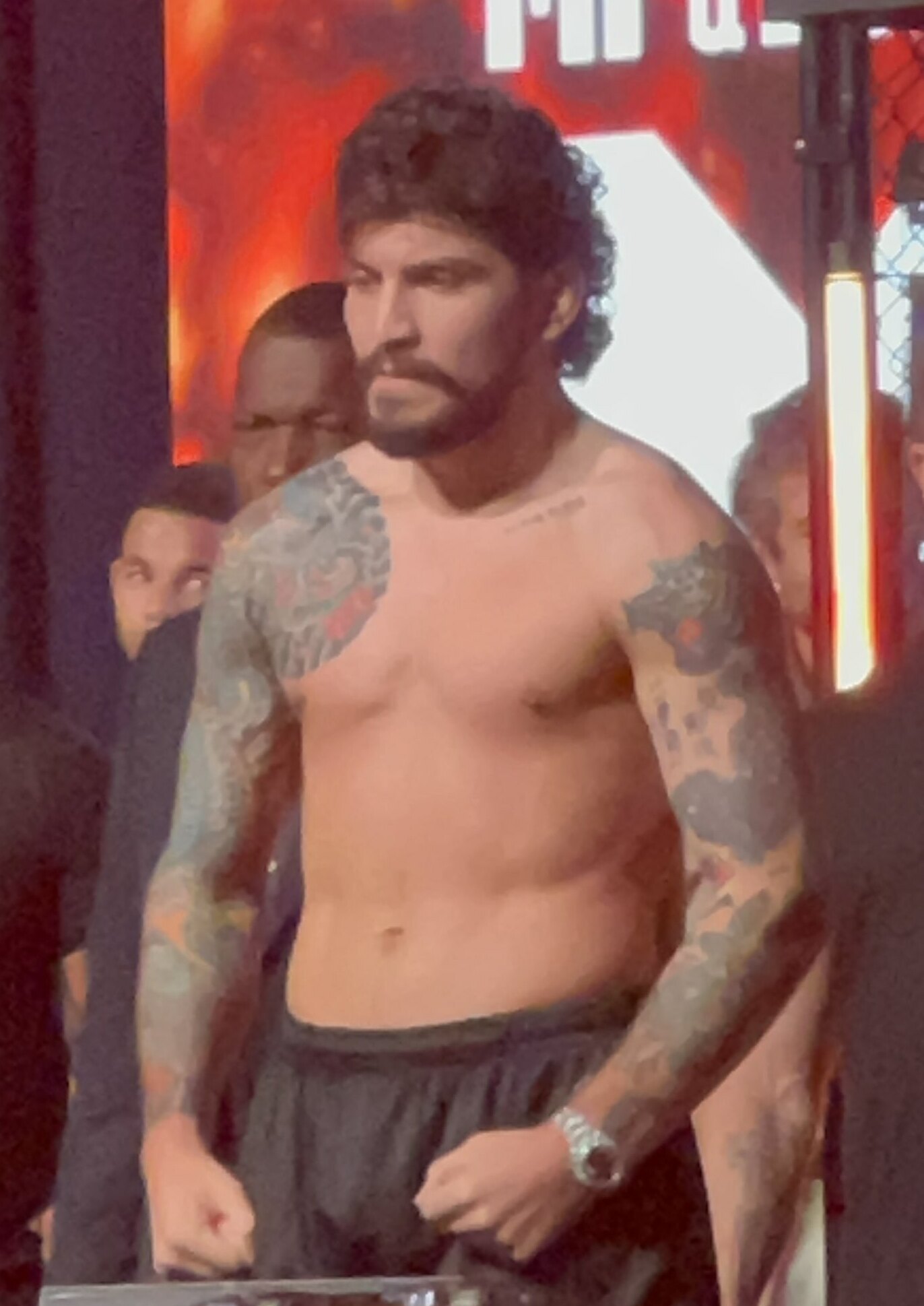 Dillon Danis - Wikipedia