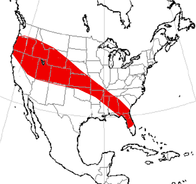 https://upload.wikimedia.org/wikipedia/commons/4/4e/Enhydrocyon_range.png