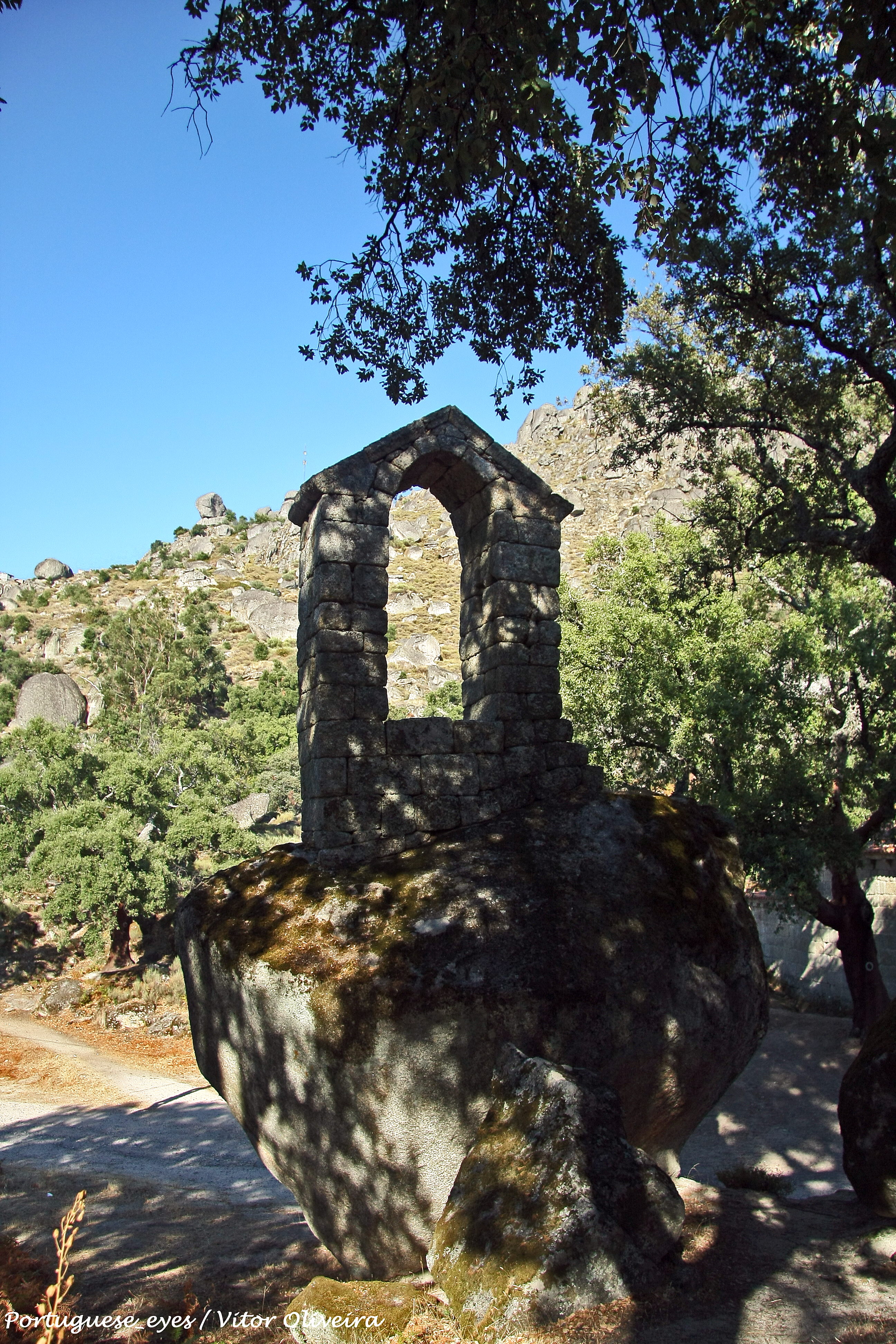 A História da Corça 