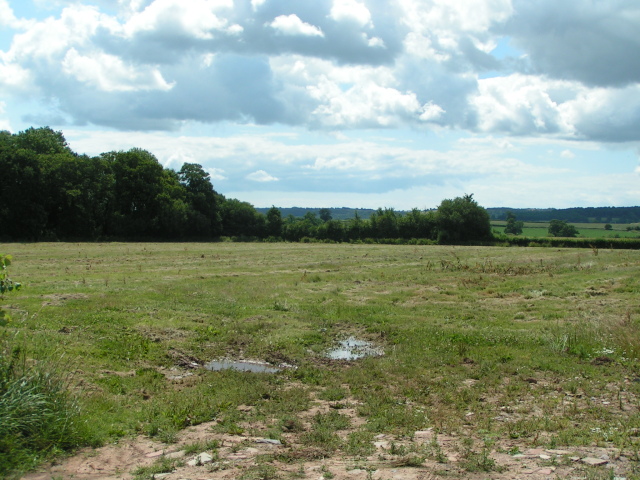 File:Field in mid Devon - geograph.org.uk - 1393405.jpg