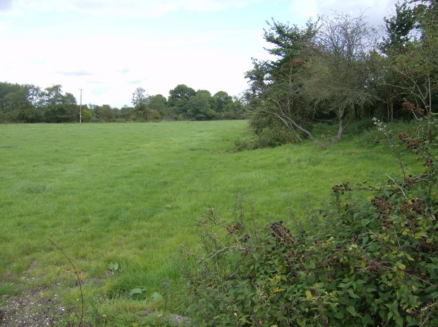 File:Field near Ufton Nervet - geograph.org.uk - 564784.jpg