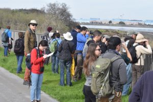 <span class="mw-page-title-main">Golden Gate Bird Alliance</span> U.S. non-profit organization