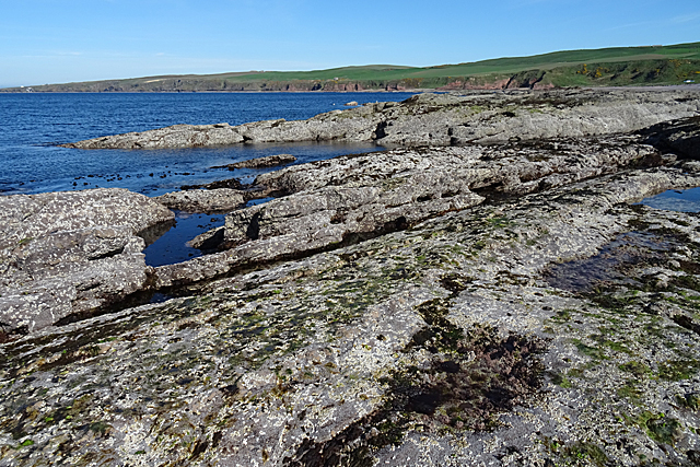 File:Intertidal Rocks - geograph.org.uk - 6137843.jpg