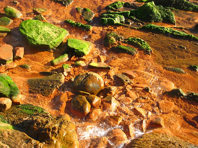 File:Iron rich water, St Monans - geograph.org.uk - 1725868.jpg