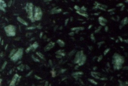 File:Lapis Lacedaemonius.jpg