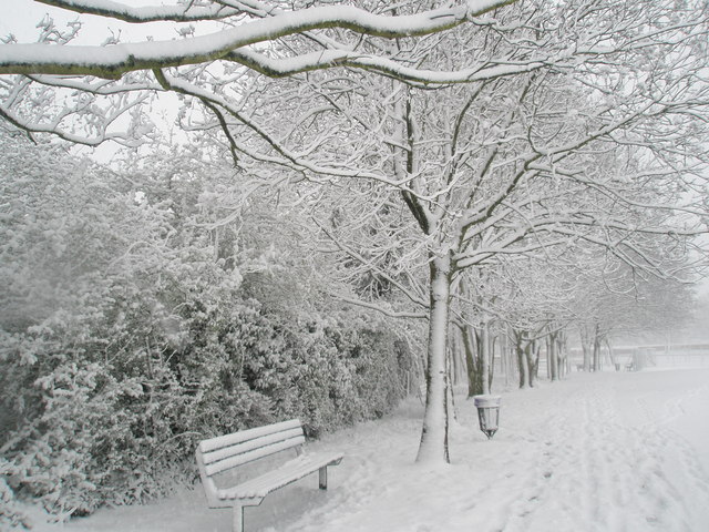File:Little chance anyone will sit there this morning - geograph.org.uk - 752303.jpg