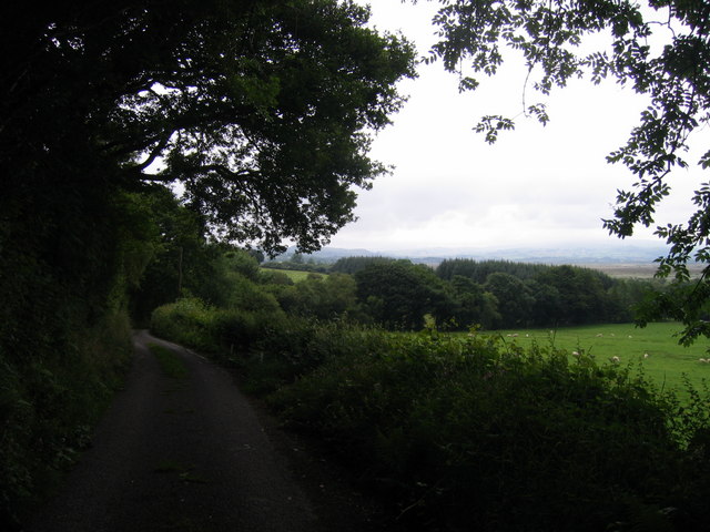 File:Lon Wledig - Country Lane - geograph.org.uk - 475084.jpg