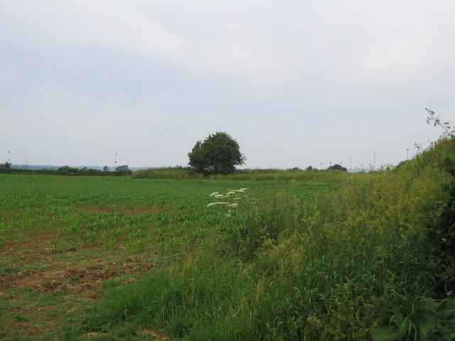 File:Longbury Long Barrow - geograph.org.uk - 188732.jpg