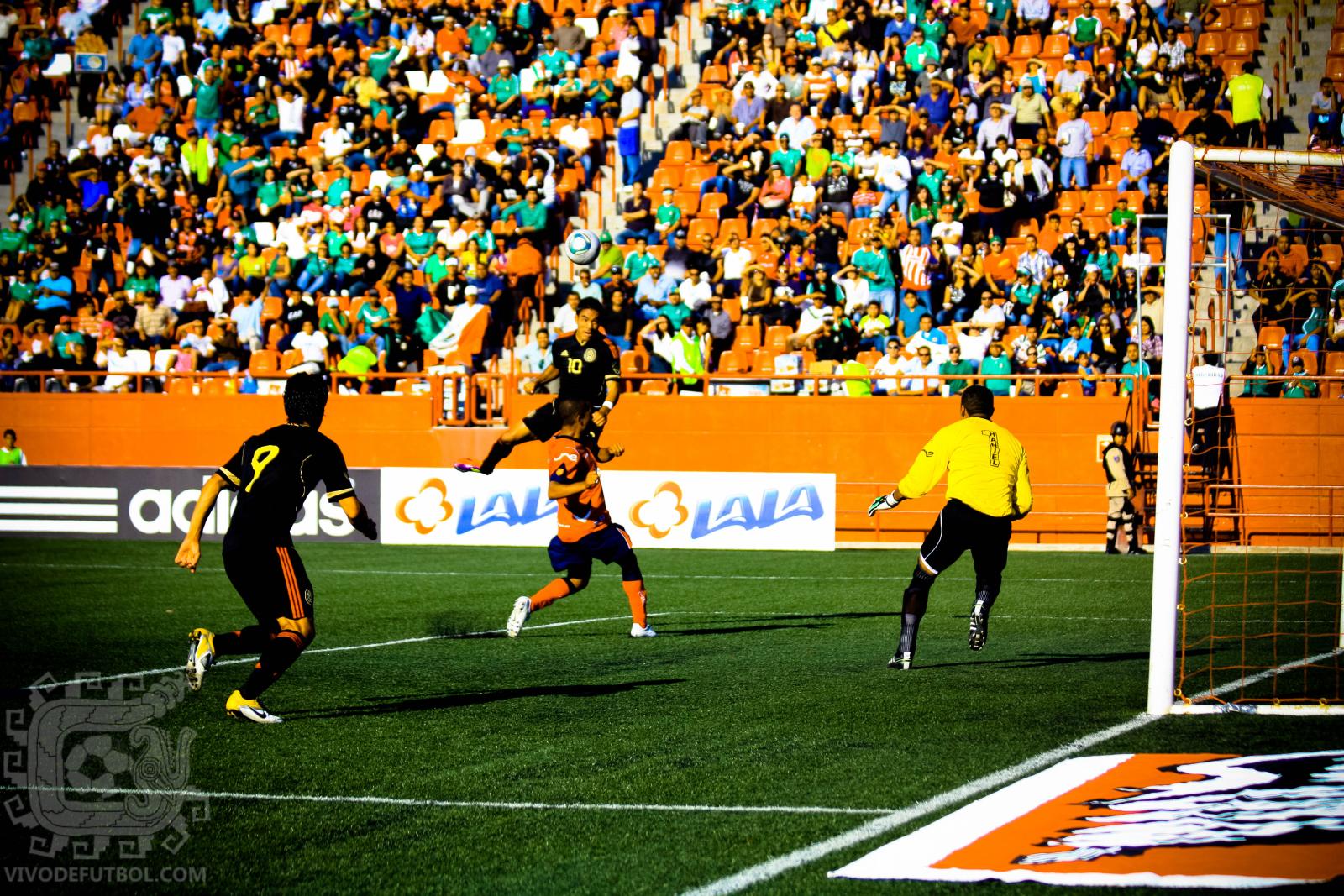 Video manu fox estadio guarani