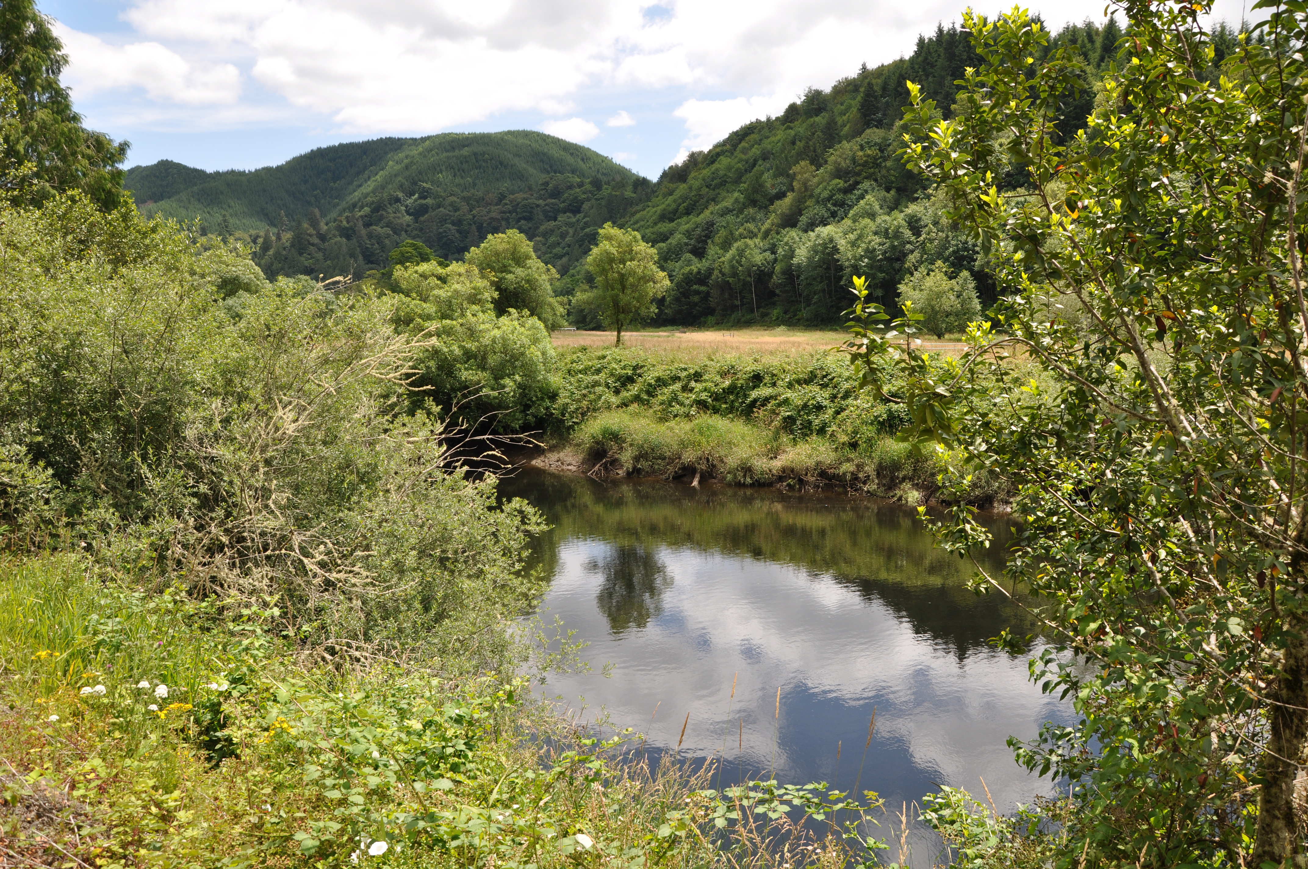 Photo of Millicoma River