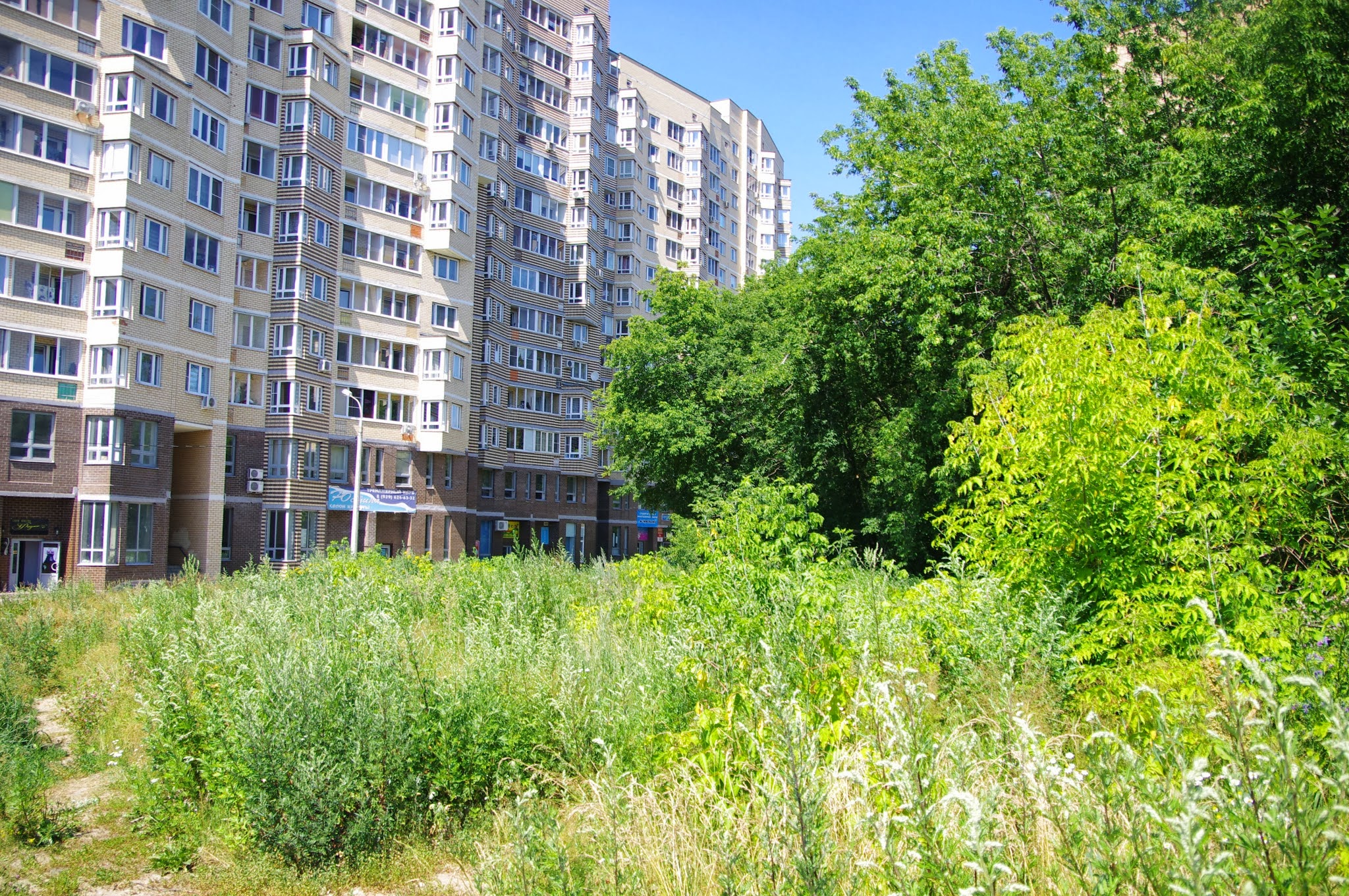 Зеленый московская область фото. Парк Метростроителей Красногорск. Красногорск ул Успенская 5. Успенская 1а Красногорск. Поветкино Московская область.