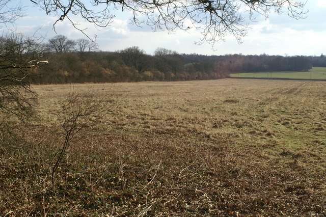 File:Near Bunstead - geograph.org.uk - 131860.jpg