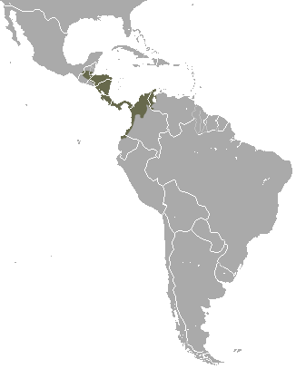 File:Northern Naked-tailed Armadillo area.png