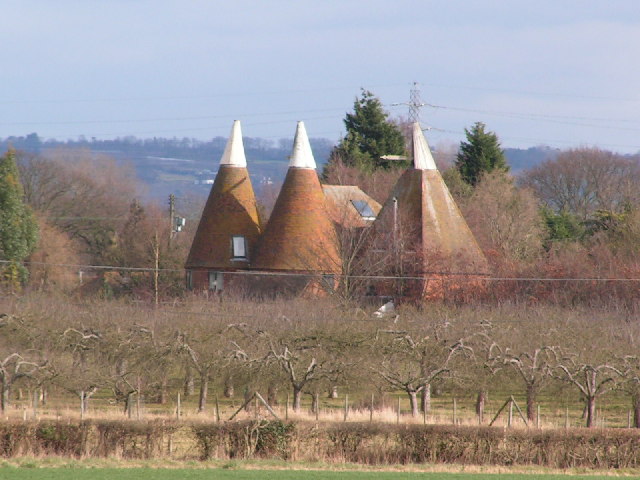 File:Oast houses and orchards - geograph.org.uk - 123444.jpg