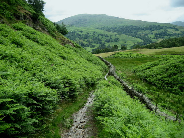 Path descending off Loughrigg Fell - geograph.org.uk - 1396381